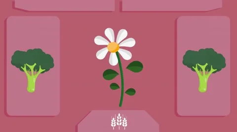 Daisy  - Vector Graphics - Food Animation - pink Stock Footage 61297489