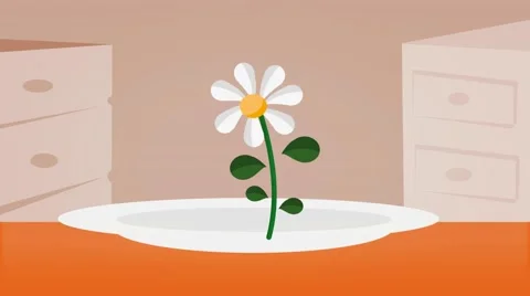 Daisy  - Vector Graphics - Food Animation - plate Stock Footage 61297491