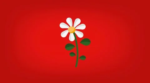 Daisy  - Vector Graphics - Food Animation - red Stock Footage 61297496