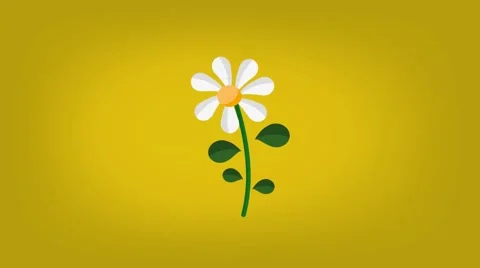 Daisy  - Vector Graphics - Food Animation - yellow Stock Footage 61297498