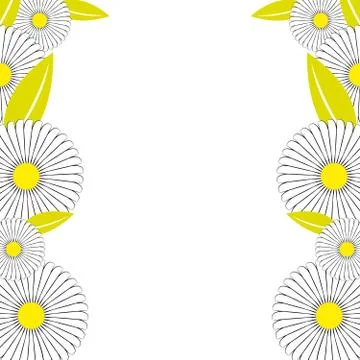 Daisy on white background Stock Illustration