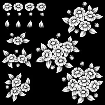 Daisy white elements Stock Illustration