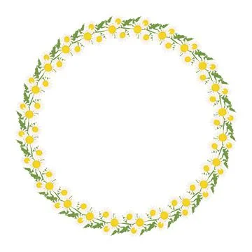 Daisy wreath. Round frame, cute white flowers chamomile with yellow hearts and Stock Illustration