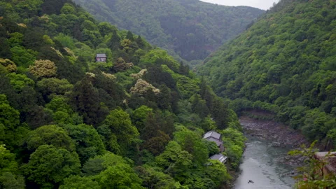 Daiunin Temple and Hozu River View from Kameyama Park - Kyoto, Japan Stock Footage 336829011