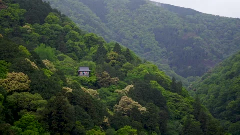 Daiunin Temple in Mount Arashiyama - Kyoto, Japan Stock Footage 336829005