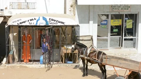 Dakar daily scene Stock Footage 41422212
