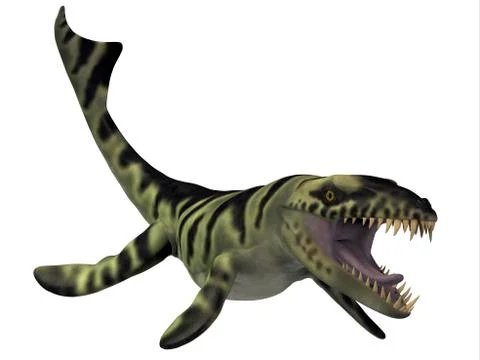 Dakosaurus, white background. 스톡 일러스트
