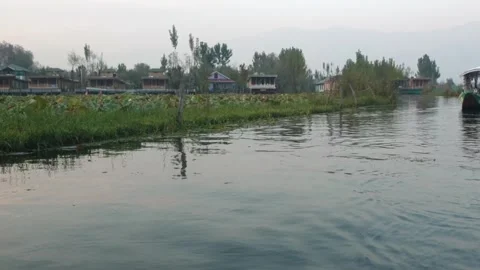 Dal Lake Stock Footage 322931360