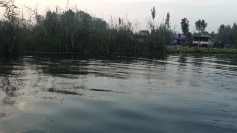 Dal Lake Stock Footage 322931516