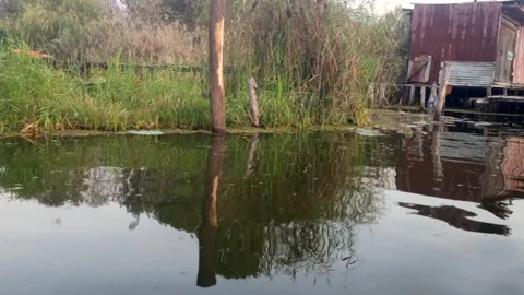 Dal Lake Stock Footage 322931567