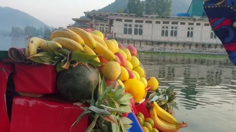 Dal Lake Stock Footage 322932263