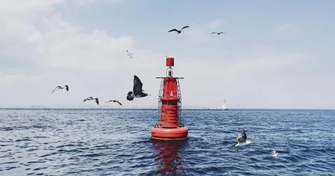 Dalian, old dock, seagulls and birds flying on the sea, ships sailing, sea, blue Stock Footage 249876884