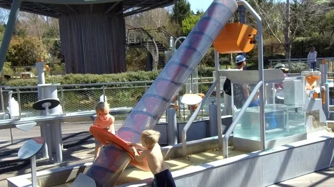 Dallas Aboretum. Stock Footage 104982641