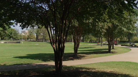 Dallas Griggs Park 4 Stock Footage 276972141