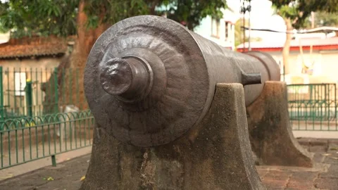 This is the Dalmadal Cannon. Stock Footage 336498944