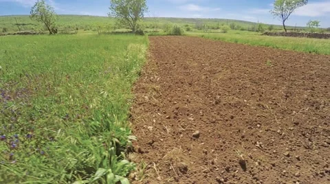 Dalmatia fields aerial Stock Footage 66763869