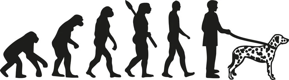 Dalmatian evolution 스톡 일러스트