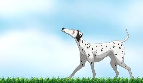 Dalmatian Stock Illustration