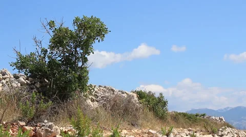 Dalmatian Landscape 9 Video stock 30548558