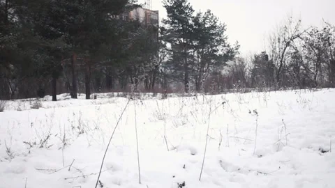 Dalmatian runs, slow motion Stock Footage 86157769