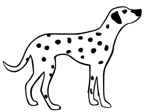 Dalmation Dog Stock Illustration