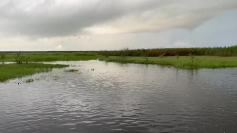 Daly River Creek Stock Footage 306444159