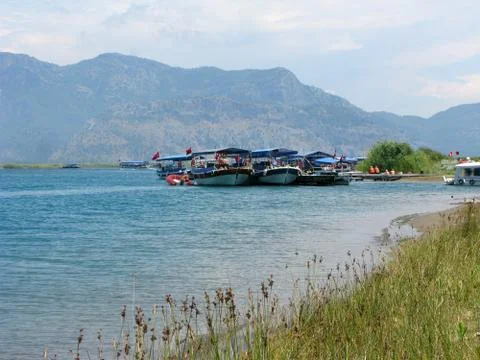 Dalyan river in turkey Stock Photos