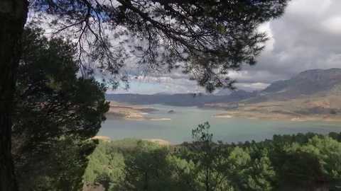 Dam and pine trees in a mediterranean landscape Stock Footage 70391204