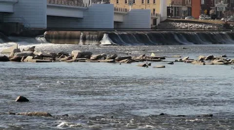 Dam Bridge and Traffic over Water Stock-Footage 10736346