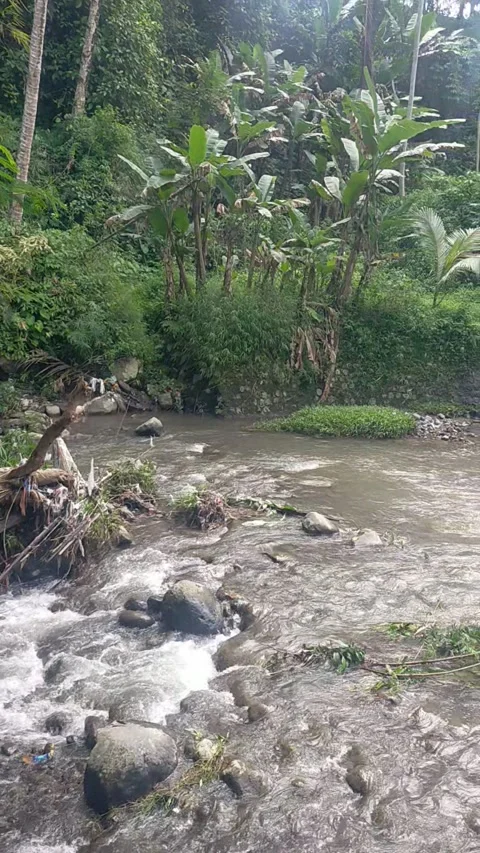 Dam building Stock Footage 333114111