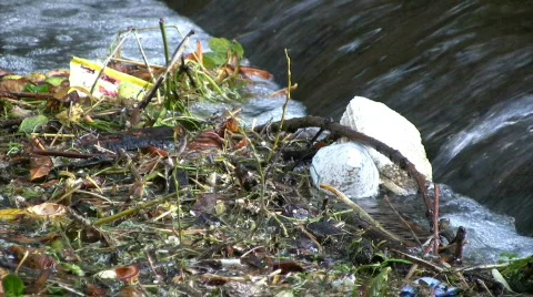 Dam Видео 335633