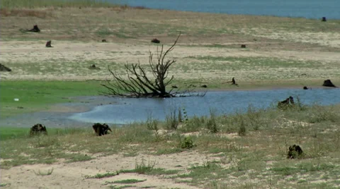 Dam Stockbeeldmateriaal 32591575