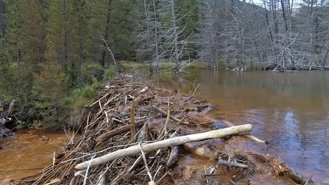 Dam! Stock Footage 86604355