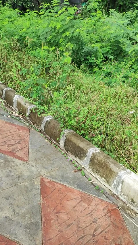 DAM Stock Footage 329227805