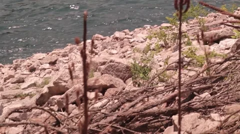 Dam with Lake.mp4 Video stock 55495698