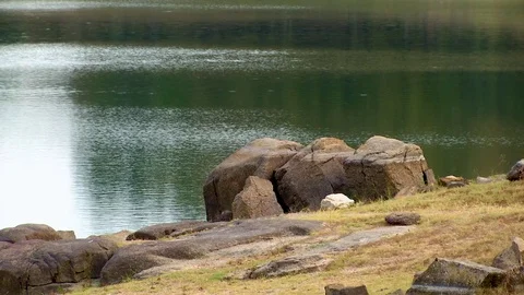 Dam in Nature Stock Footage 79309417