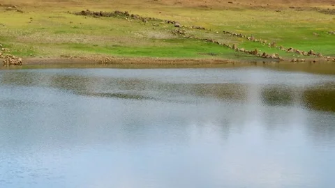 DAM IN NATURE WATER Stock Footage 99830395