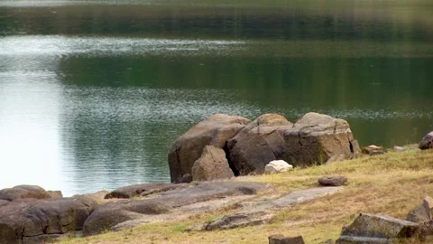 DAM IN NATURE WATER Stock Footage 99830481