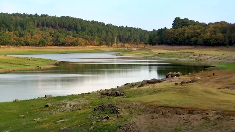 DAM IN NATURE WATER Stock Footage 99830647