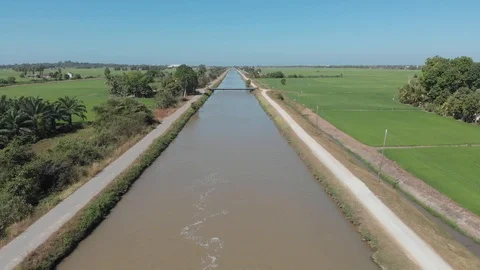 Dam or can say is pump to supply water distribute to all paddy field. use Vídeo Stock 124209788