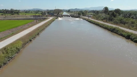 Dam or can say is pump to supply water distribute to all paddy field Vídeo Stock 124209842