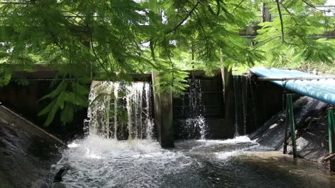 Dam overflowing in a canal  Stock Footage 143648074