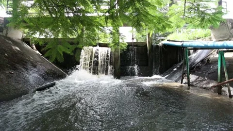 Dam overflowing in a canal  Stock Footage 143649031