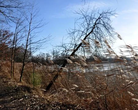 The dam Stock Photos