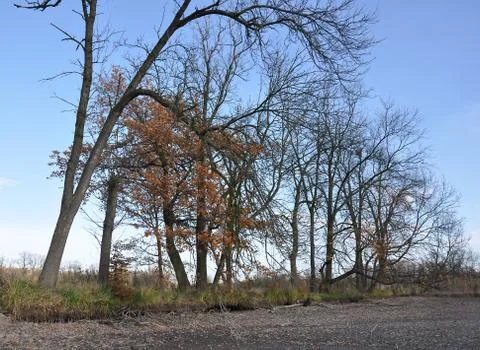 The dam Stock Photos