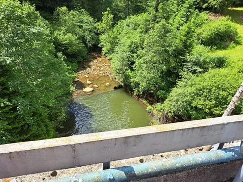 Dam river forest Stock Photos