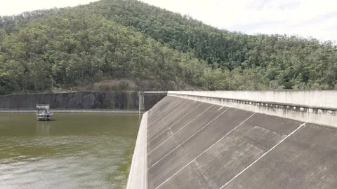 Dam Swallows Video stock 148809808