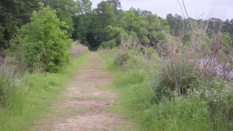 The dam trail at Tyler State Park Stock Footage 296449871