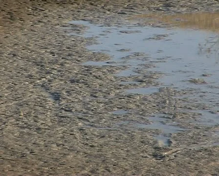 Dam without water during a drought in NSW, Australia Stock Footage 21526816