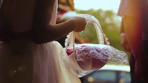 Dama de honor Stock Footage 131209456